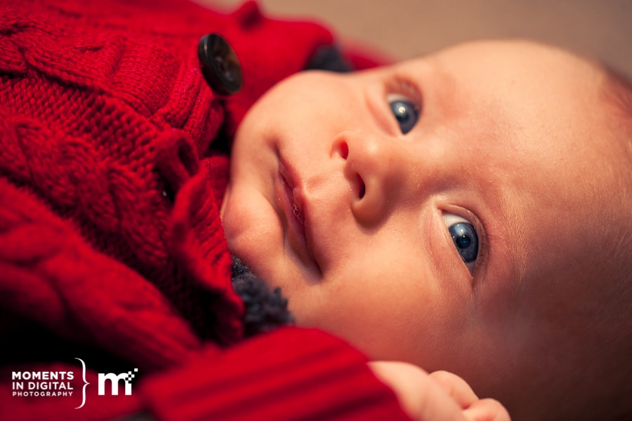 Edmonton_Family_Photographers_Wright_Family-6 Edmonton Family Photographers Wright Family 6 - Edmonton Family Photographers - A Moment With the Wrights