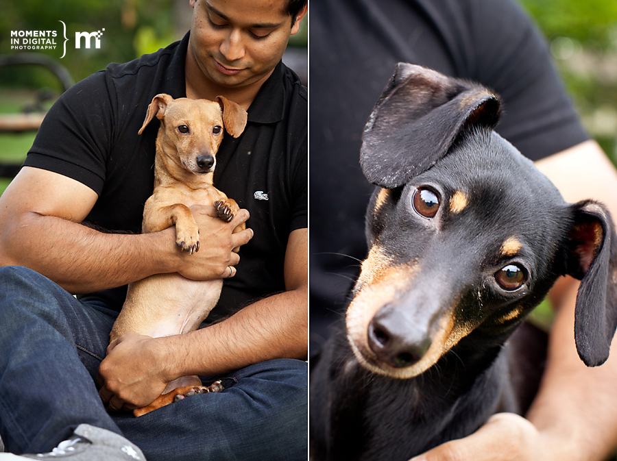Edmonton_Wedding_Photographers_AS_Engagement01 Edmonton Wedding Photographers AS Engagement01 - Edmonton Wedding Photographers - A+S Engagement Session
