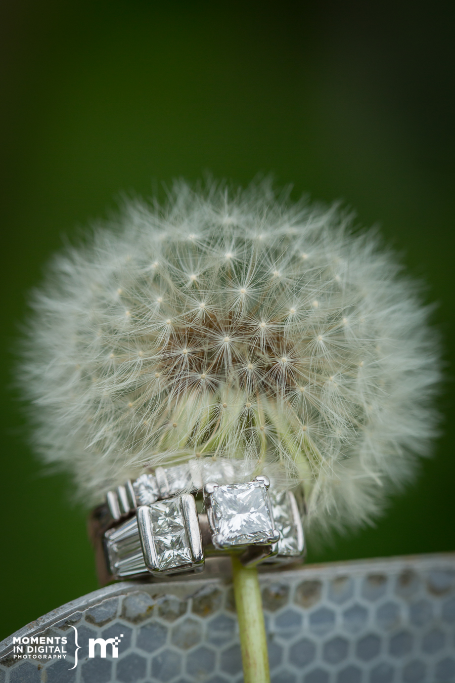 20130616 Yasna Rafic Engagement 486 - Yasna + Rafic - Edmonton Engagement Photography