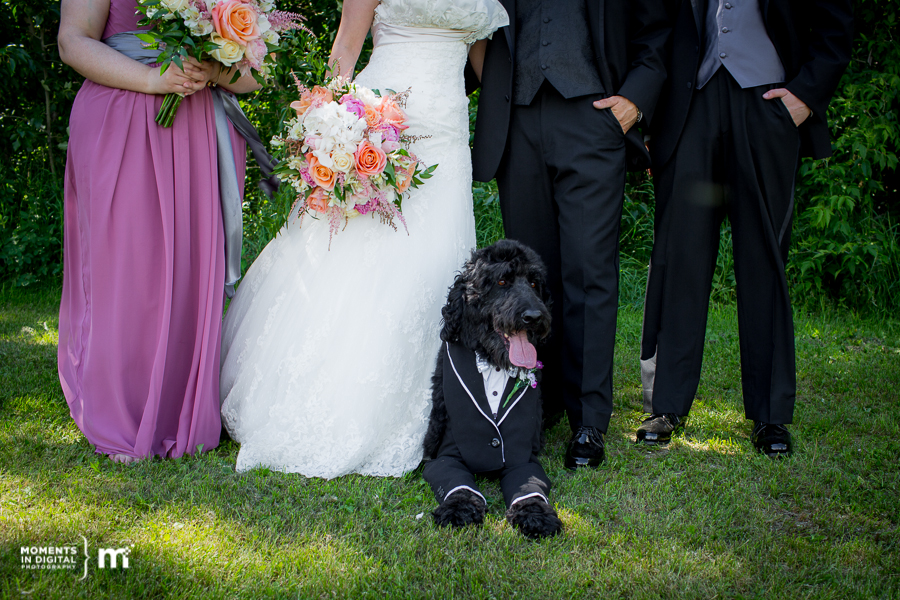 Wedding Photography Edmonton Country Lodge 11 - Edmonton Wedding Photographers - Meghan & Andre Sneak Peek