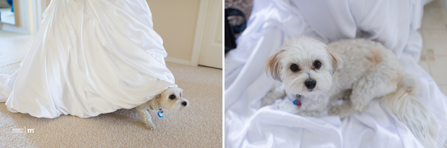 Edmonton Photographers KG 007 - Kelly & Gideon - Hastings Lake Gardens Wedding