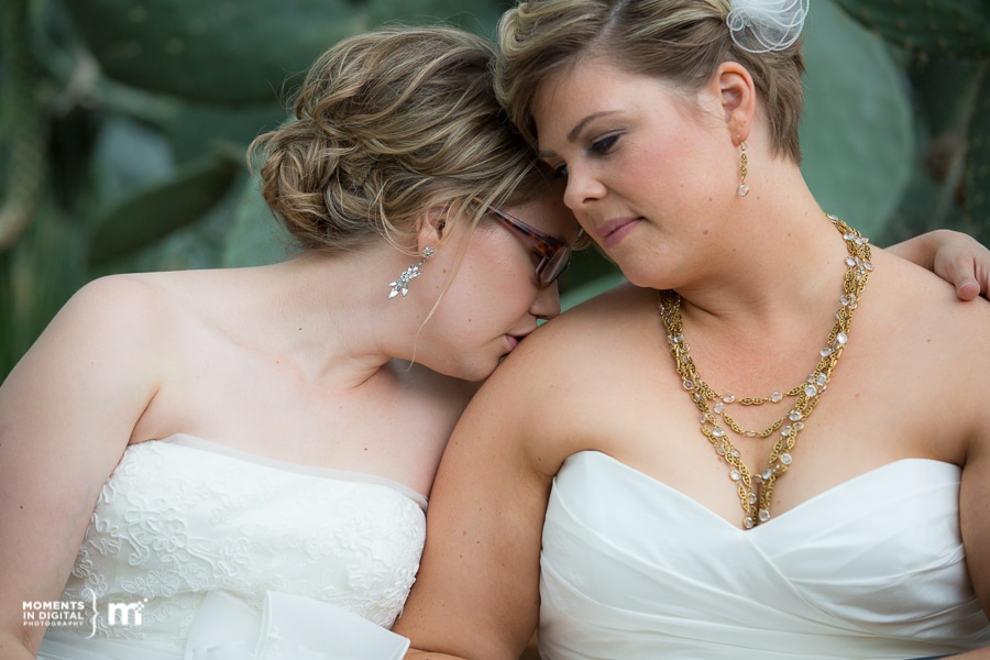 Edmonton Wedding Photographers Muttart Conservatory 6 - Kathryn & Amanda - Wedding at the Muttart Conservatory