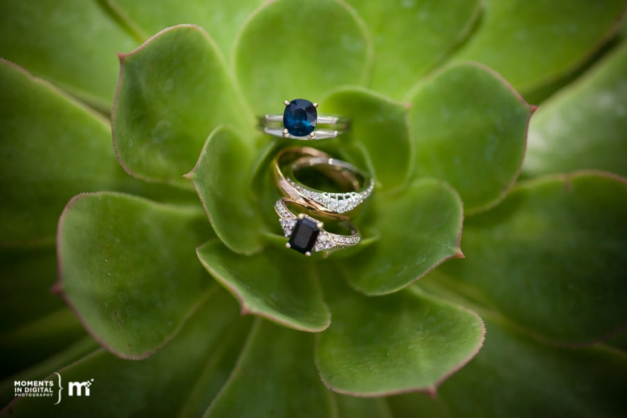 Edmonton Wedding Photographers Muttart Conservatory 8 - Kathryn & Amanda - Wedding at the Muttart Conservatory