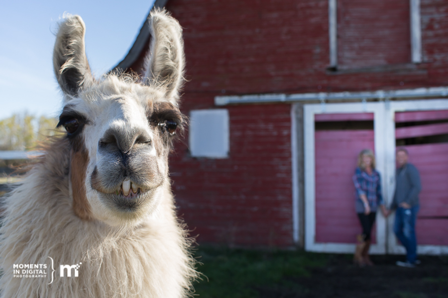 20131004_Jacqueline_Bob_Engagement_085