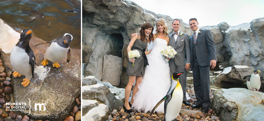 Edmonton_Wedding_Photographers_020