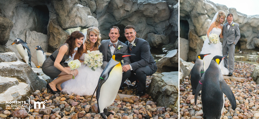 Edmonton_Wedding_Photographers_021