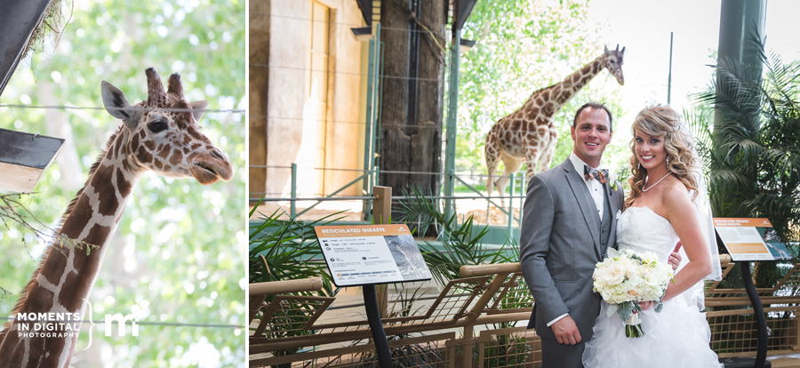 Edmonton_Wedding_Photographers_028