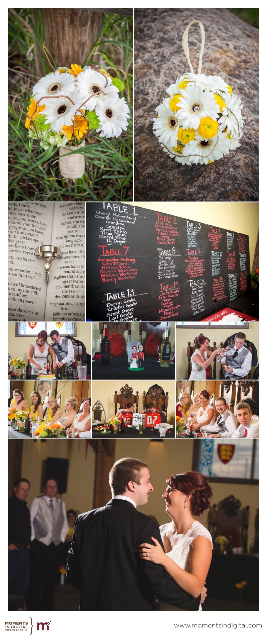 Terri_Nathan_Edmonton_Wedding_5