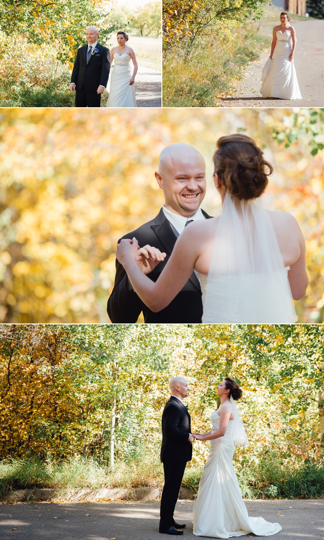Edmonton Wedding Photographers - Adrienne and Lee 1