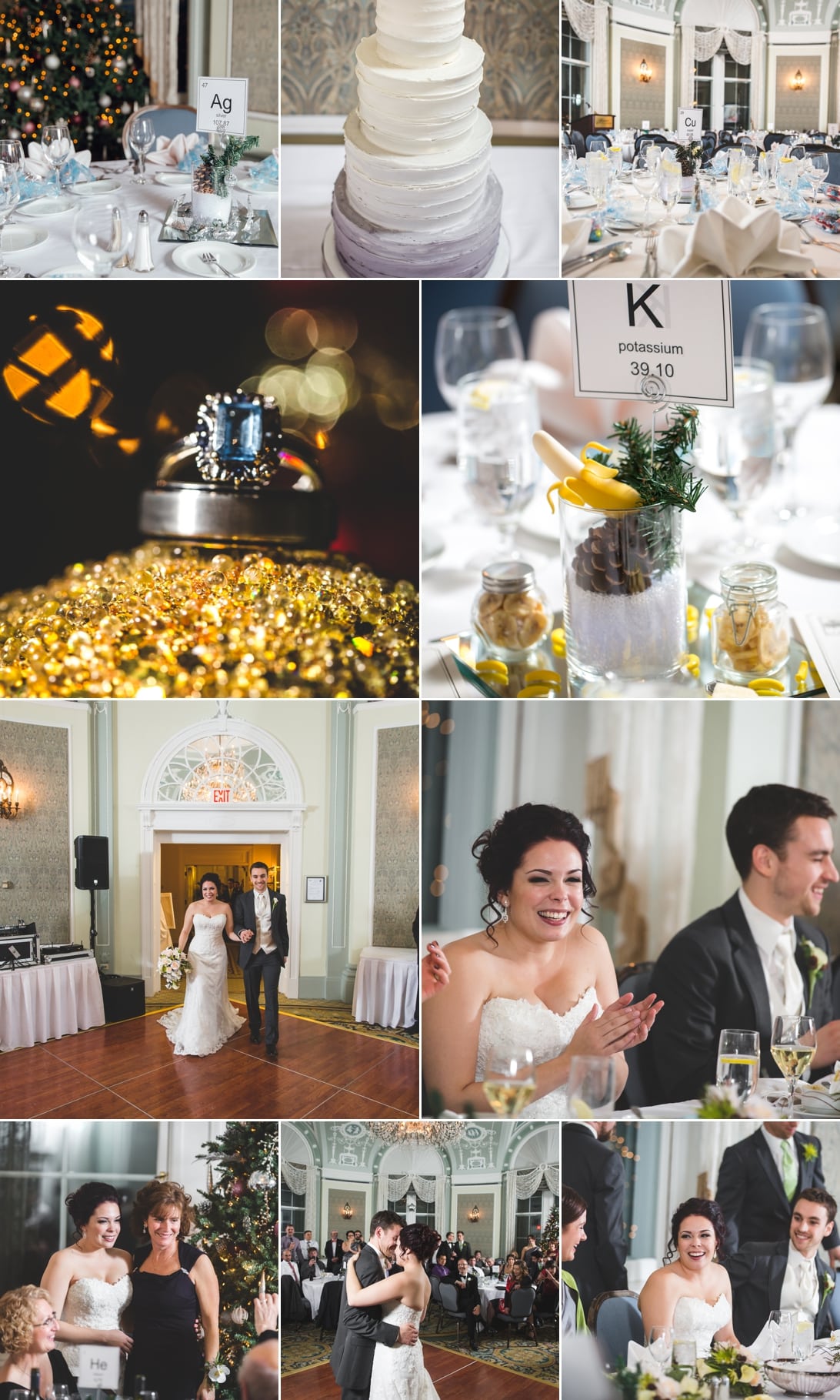 Edmonton_Winter_Wedding_Photography_Michelle_Marcus_Hotel_MacDonald