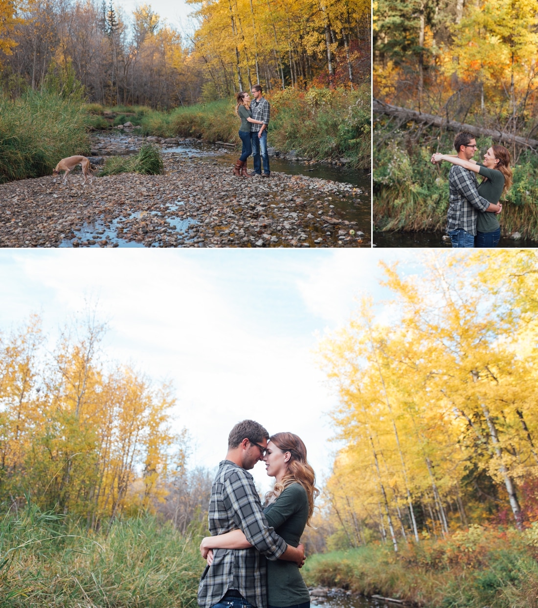 Michelle & Scott's Fall Engagement Photos in Mill Creek Ravine 3