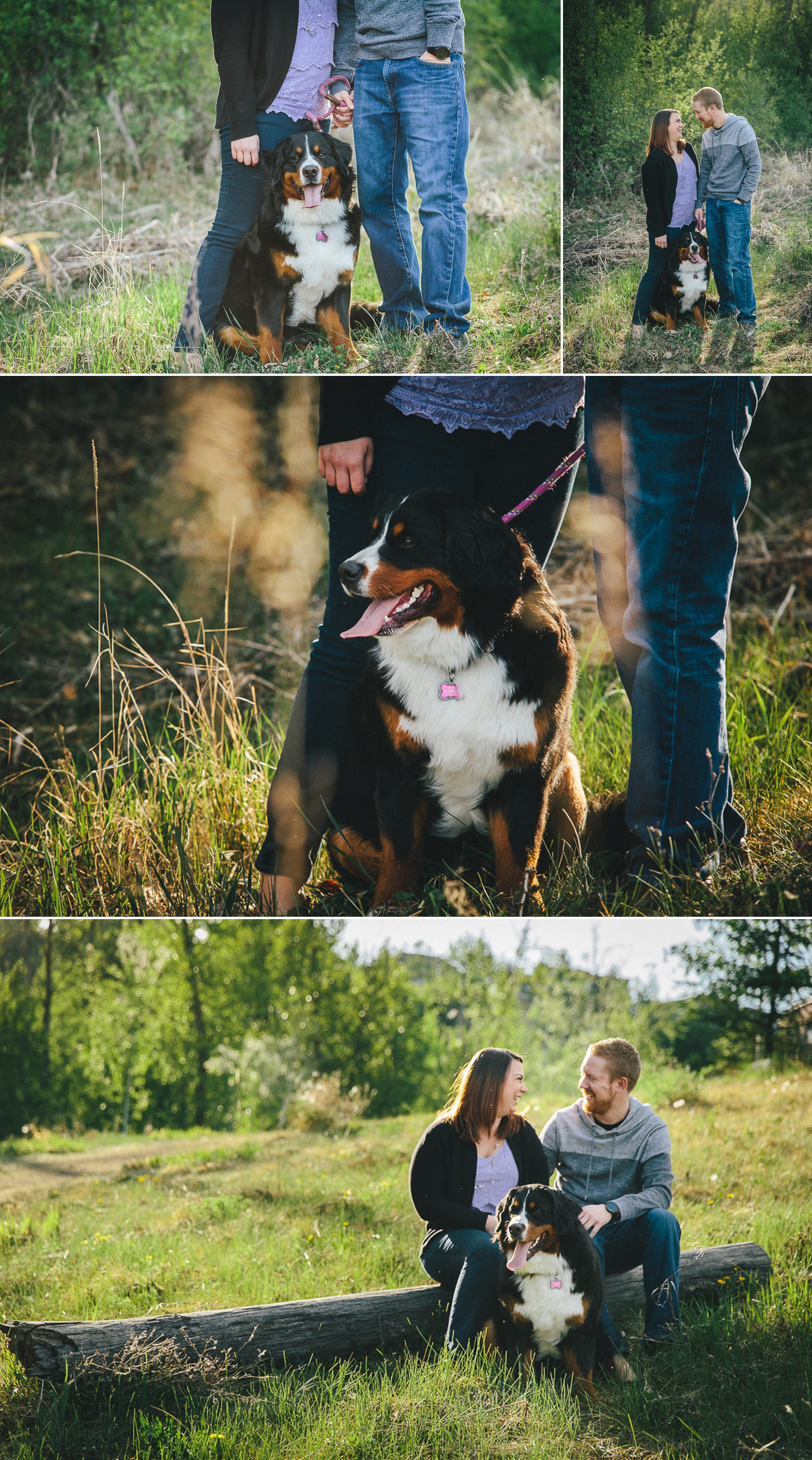 Engagement Photography in Edmonton's River Valley 1