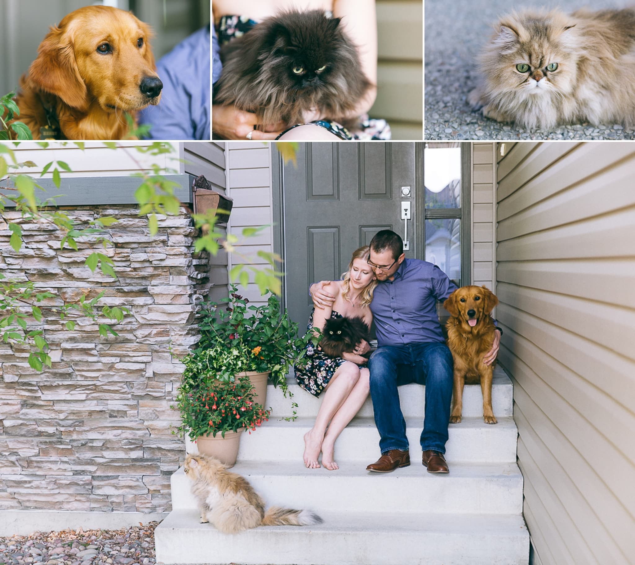 Amanda & Andrew's Engagement Session in Sherwood Park 1