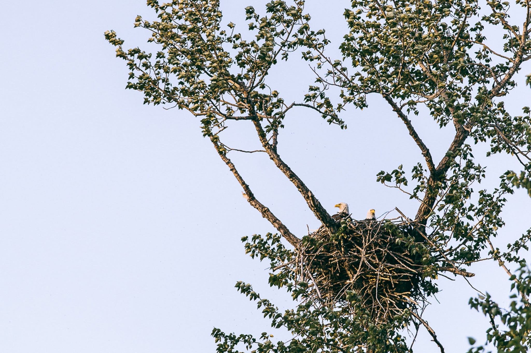 Amanda & Andrew's Engagement Session in Sherwood Park 3
