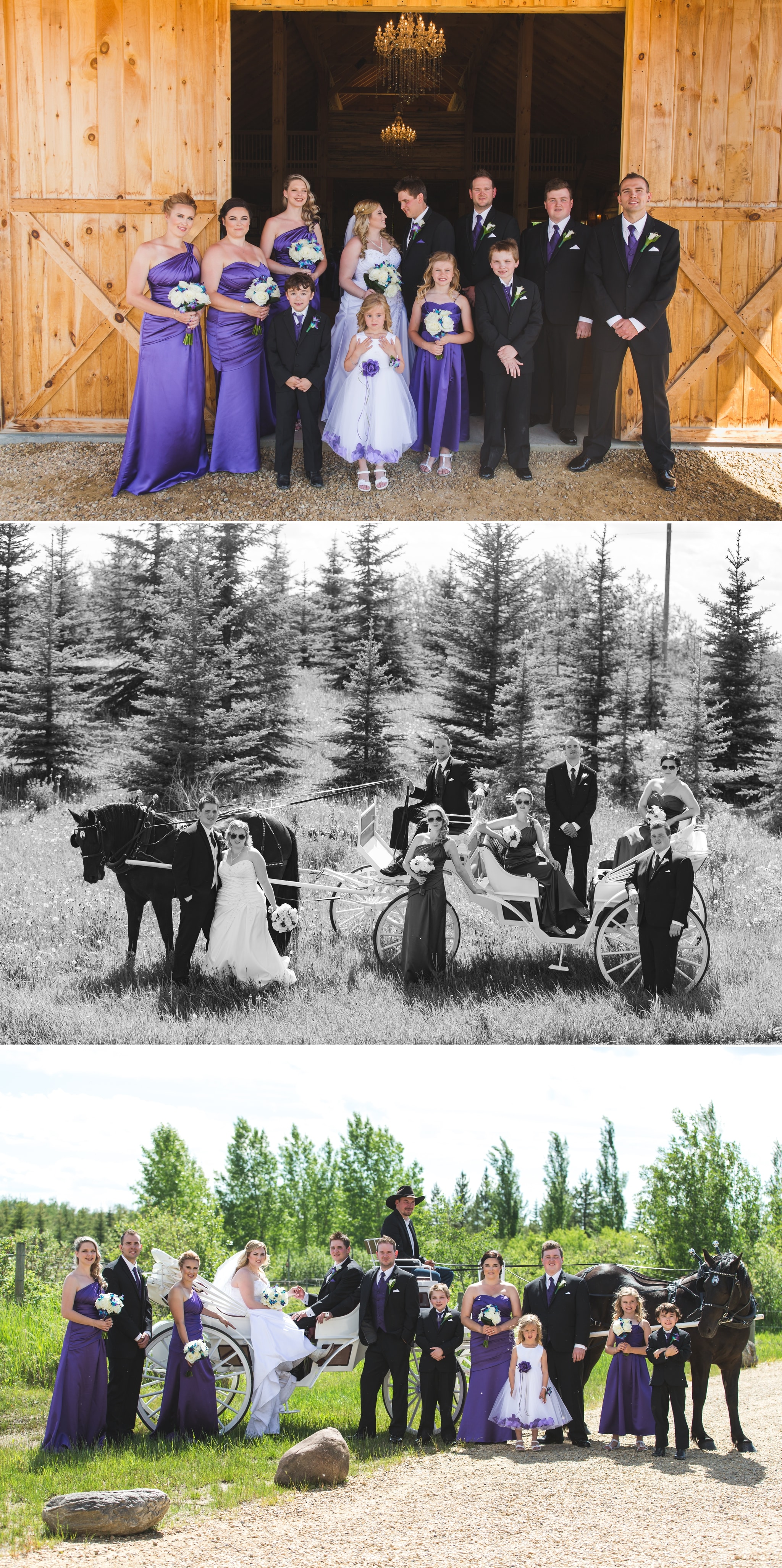 Danielle & Garrett's Wedding at Lions Garden 6