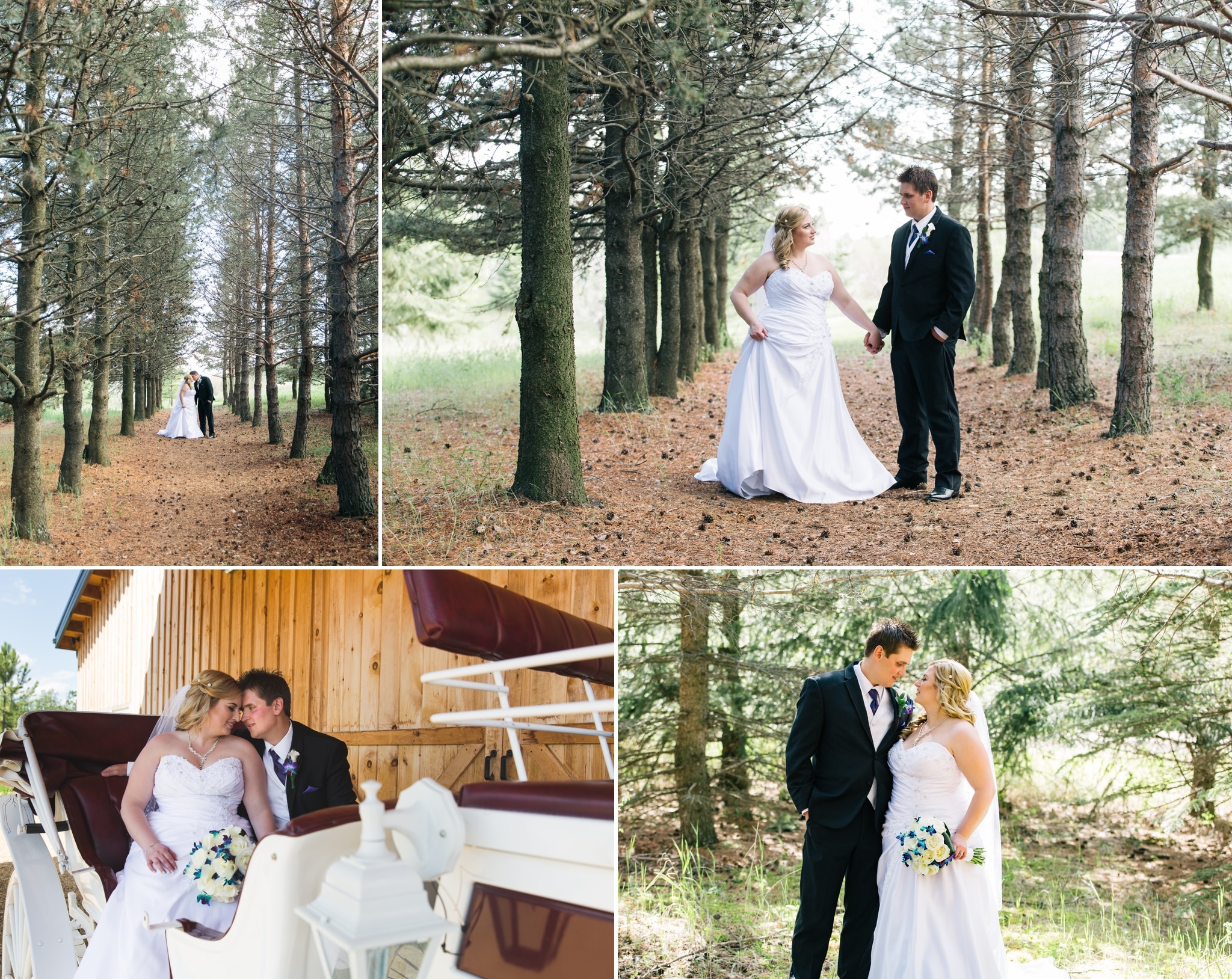 Danielle & Garrett's Wedding at Lions Garden 8