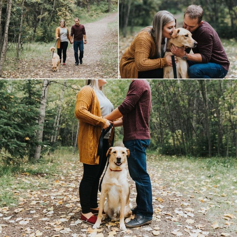 Fall Engagement Photos in Edmonton