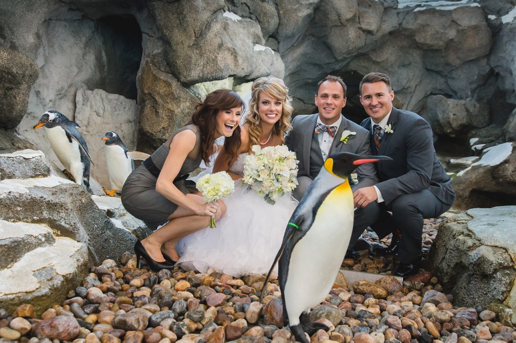 Wedding Photos at the Calgary Zoo